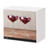 Set of 2 Bloom Champagne Saucers